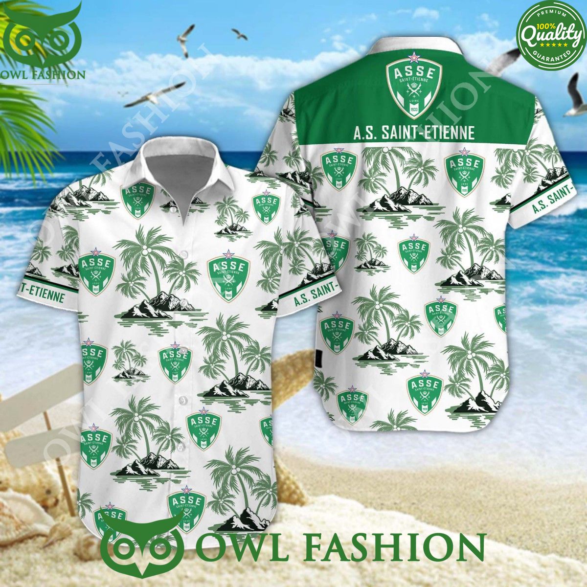 AS Saint-Etienne Ligue 2 Football Championship - Adult & Kids T-Shirts, Sweatshirts & Hoodies apparel design preview 1