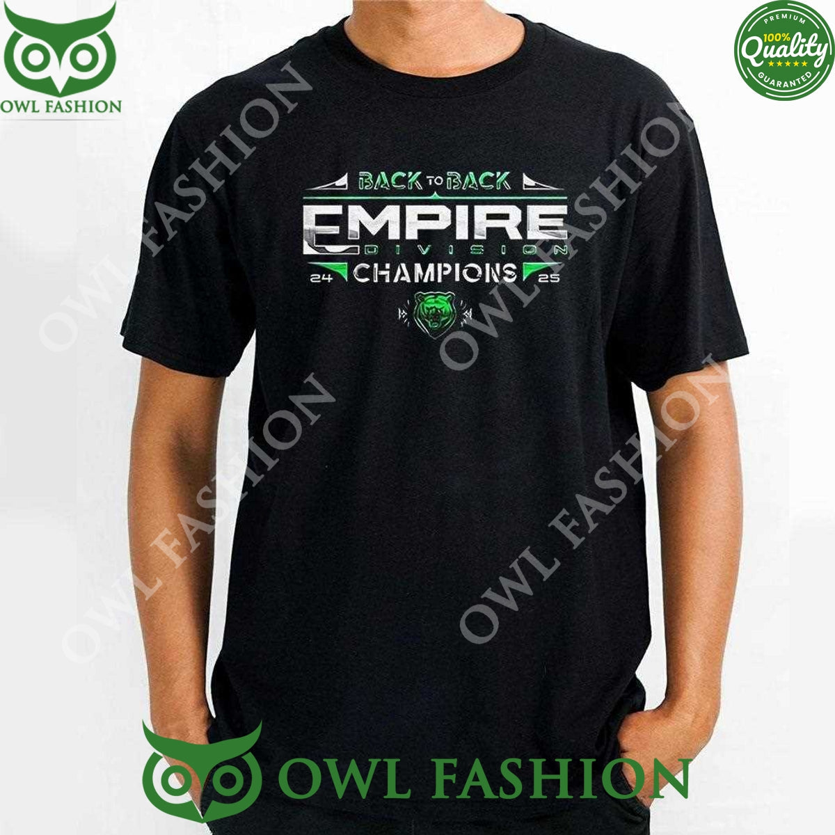 Back To Empire Division Champions Binghamton Black - Adult & Kids T-Shirts, Sweatshirts & Hoodies apparel design preview 1