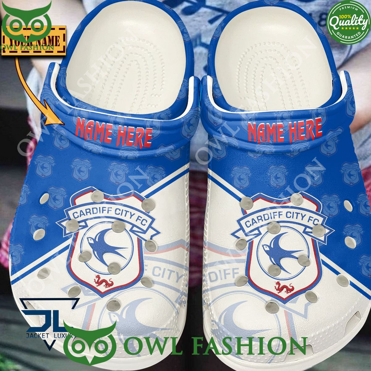 Cardiff City F.C League One Football Champion Custom - Adult & Kids T-Shirts, Sweatshirts & Hoodies apparel design preview 1