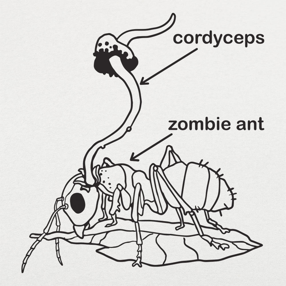 Cordyceps Ant - Adult & Kids T-Shirts, Sweatshirts & Hoodies apparel design preview 1