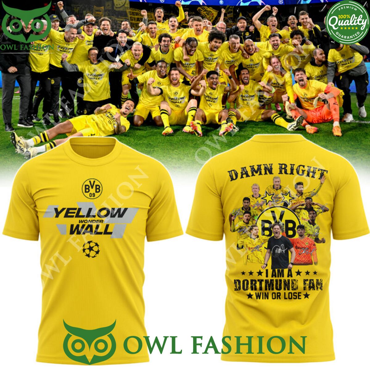 Damn Right Champions League 2024 Playoff Yellow - Adult & Kids T-Shirts, Sweatshirts & Hoodies apparel design preview 1