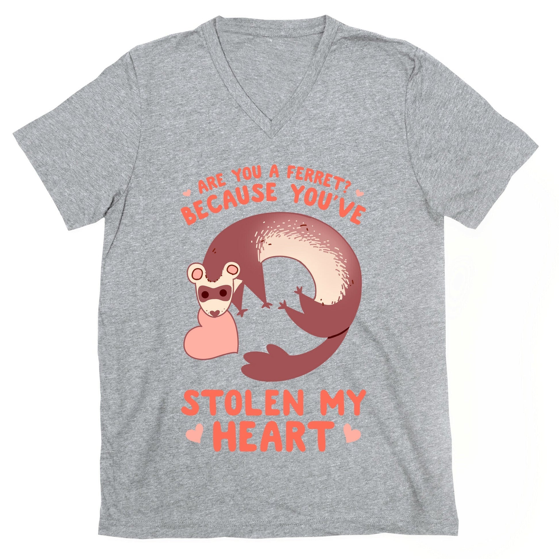 Are You A Ferret? Because You've Stolen My Heart - Adult & Kids T-Shirts, Sweatshirts & Hoodies apparel design preview 1