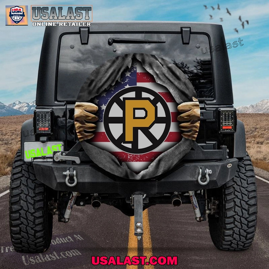 Providence Bruins AHL American Flag Spare Tire Cover - Adult & Kids T-Shirts, Sweatshirts & Hoodies apparel design preview 1