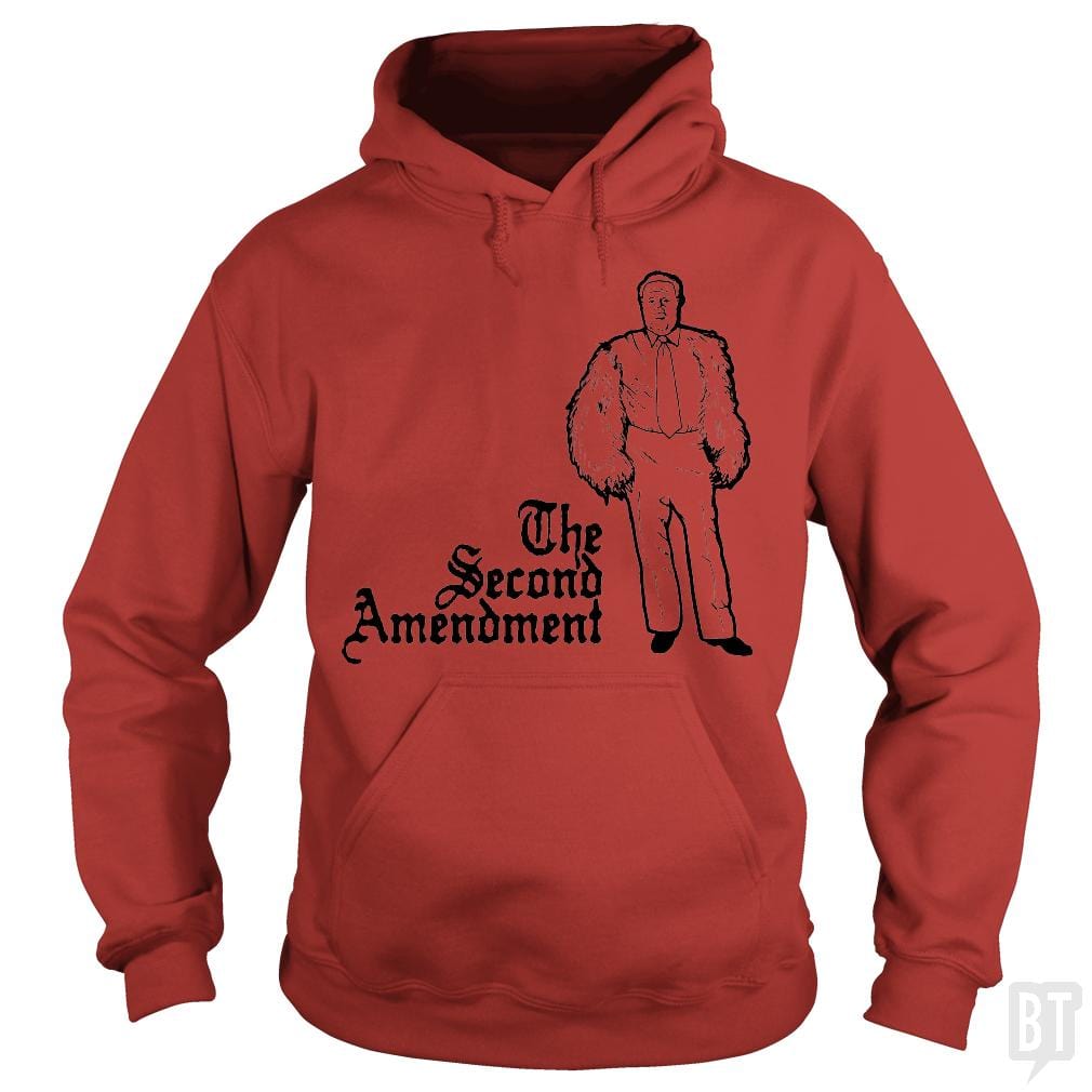 Second Amendment - Adult & Kids T-Shirts, Sweatshirts & Hoodies apparel design preview 1