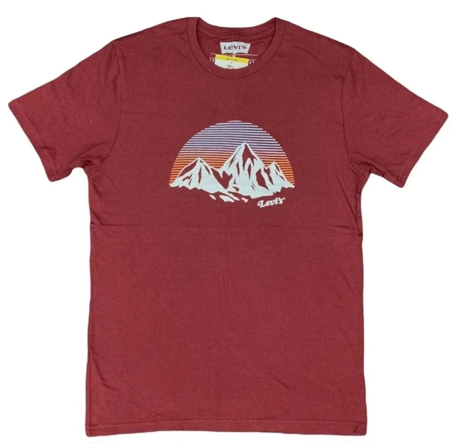 Men's Levi's Sky Mountain Retro Striped Logo Size M - Adult & Kids T-Shirts, Sweatshirts & Hoodies apparel design preview 1