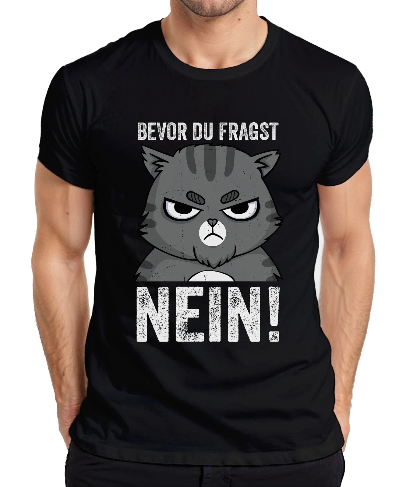 Funny Cats Saying Before You Ask NO Grumpy Cat Humor - Adult & Kids T-Shirts, Sweatshirts & Hoodies apparel design preview 1