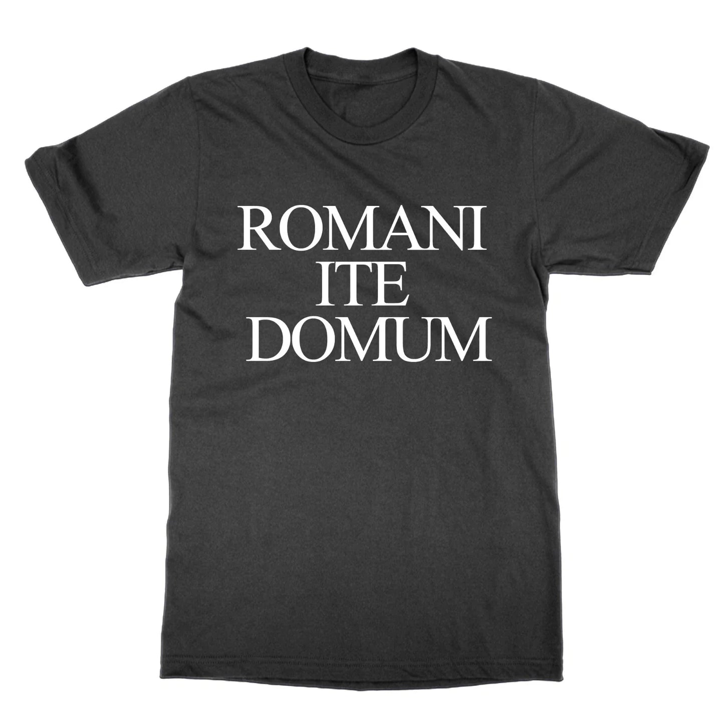 Romani Ite Domum funny Latin Life of Brian present - Adult & Kids T-Shirts, Sweatshirts & Hoodies apparel design preview 1