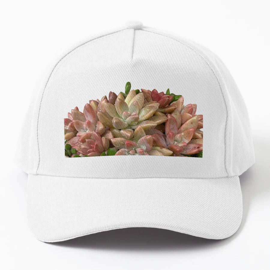Succulent Plants From My Garden Set 2 New Era Snapback - Snapback, Trucker Hat, Dad Hat, Denim Baseball Cap