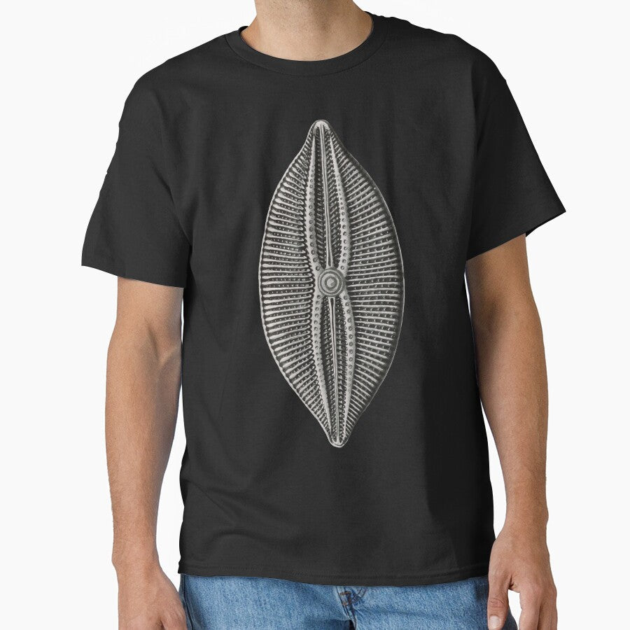 Ernst Haeckel Diatom algae by DreamingBeetle - Adult & Kids T-Shirts, Sweatshirts & Hoodies apparel design preview 1