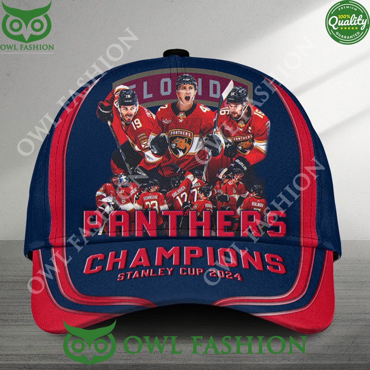 Stanley Cup Champion 2024 Florida Panthers Limited - Adult & Kids T-Shirts, Sweatshirts & Hoodies apparel design preview 1