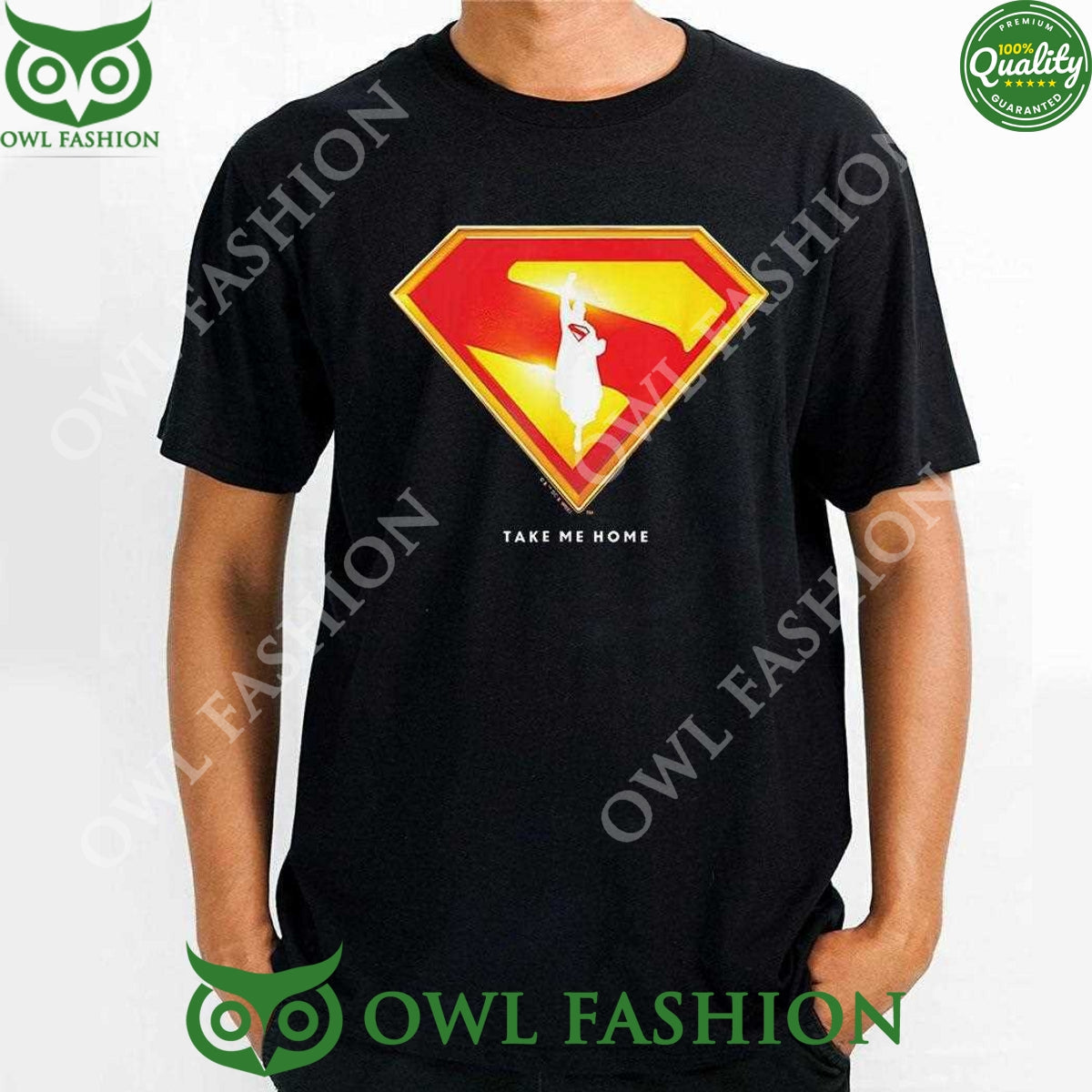 Superman 2025 Movie Take Me Home Shield 2D - Adult & Kids T-Shirts, Sweatshirts & Hoodies apparel design preview 1