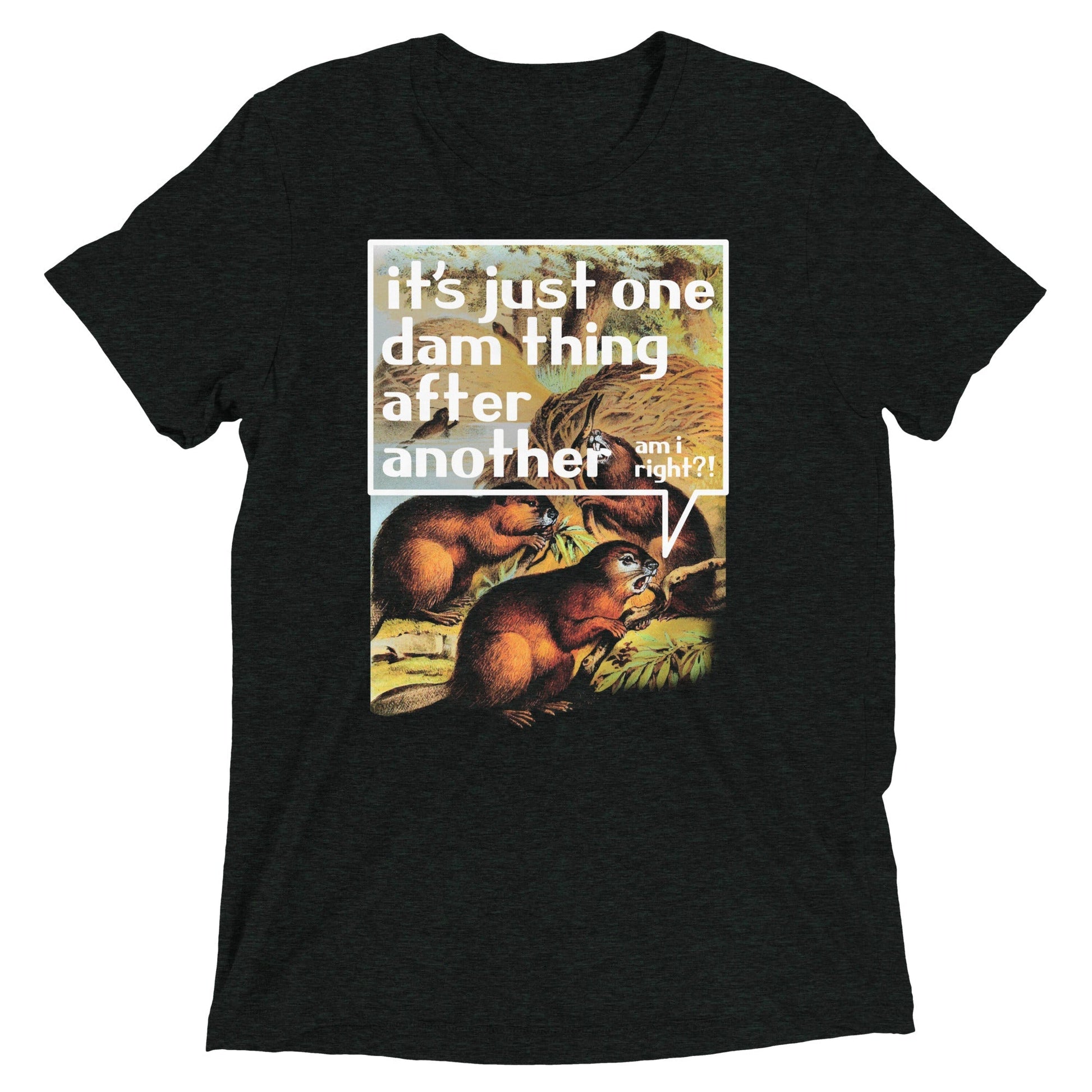 It's Just One Dam Thing After Another Men's Tri-Blend - Adult & Kids T-Shirts, Sweatshirts & Hoodies apparel design preview 1