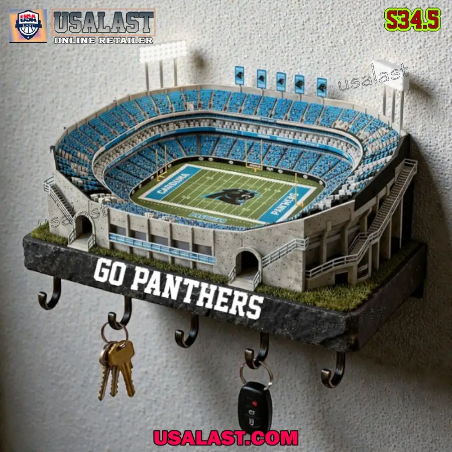 Carolina Panthers Sports Stadium Key Hooks, Holder - Adult & Kids T-Shirts, Sweatshirts & Hoodies apparel design preview 1