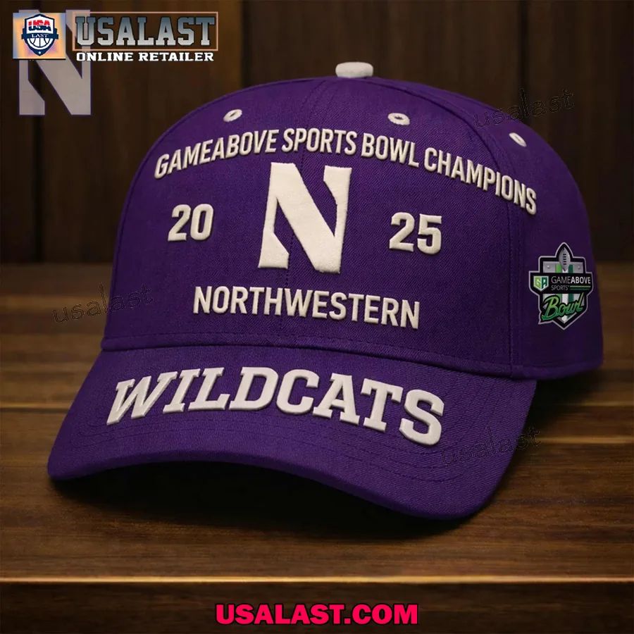 Northwestern Wildcats 2025 Gameabove Sports Bowl - Adult & Kids T-Shirts, Sweatshirts & Hoodies apparel design preview 1