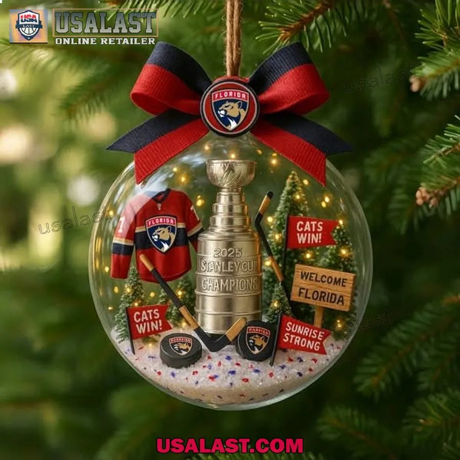 Florida Panthers 2025 Stanley Cup Champion Ornament - Adult & Kids T-Shirts, Sweatshirts & Hoodies apparel design preview 1