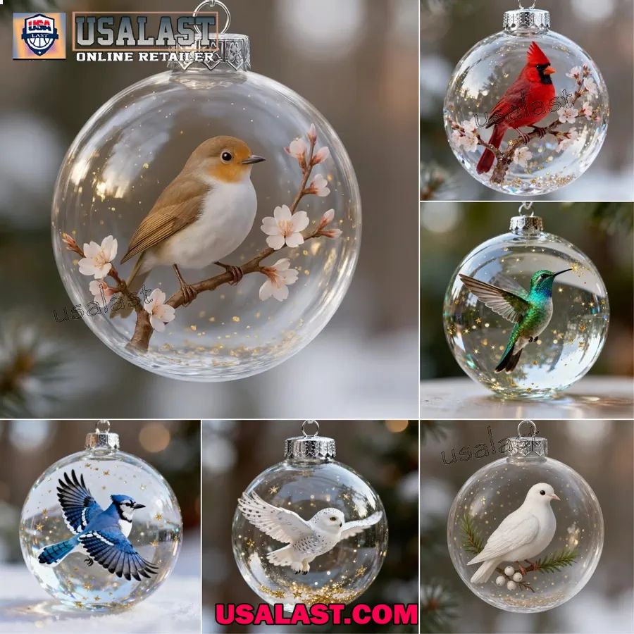 2026 Birds Wonders Collection Christmas Ornament - Adult & Kids T-Shirts, Sweatshirts & Hoodies apparel design preview 1