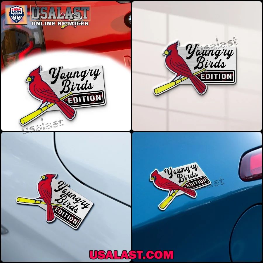 St. Louis Cardinals Edition Engraved Car Name Badge - Adult & Kids T-Shirts, Sweatshirts & Hoodies apparel design preview 1