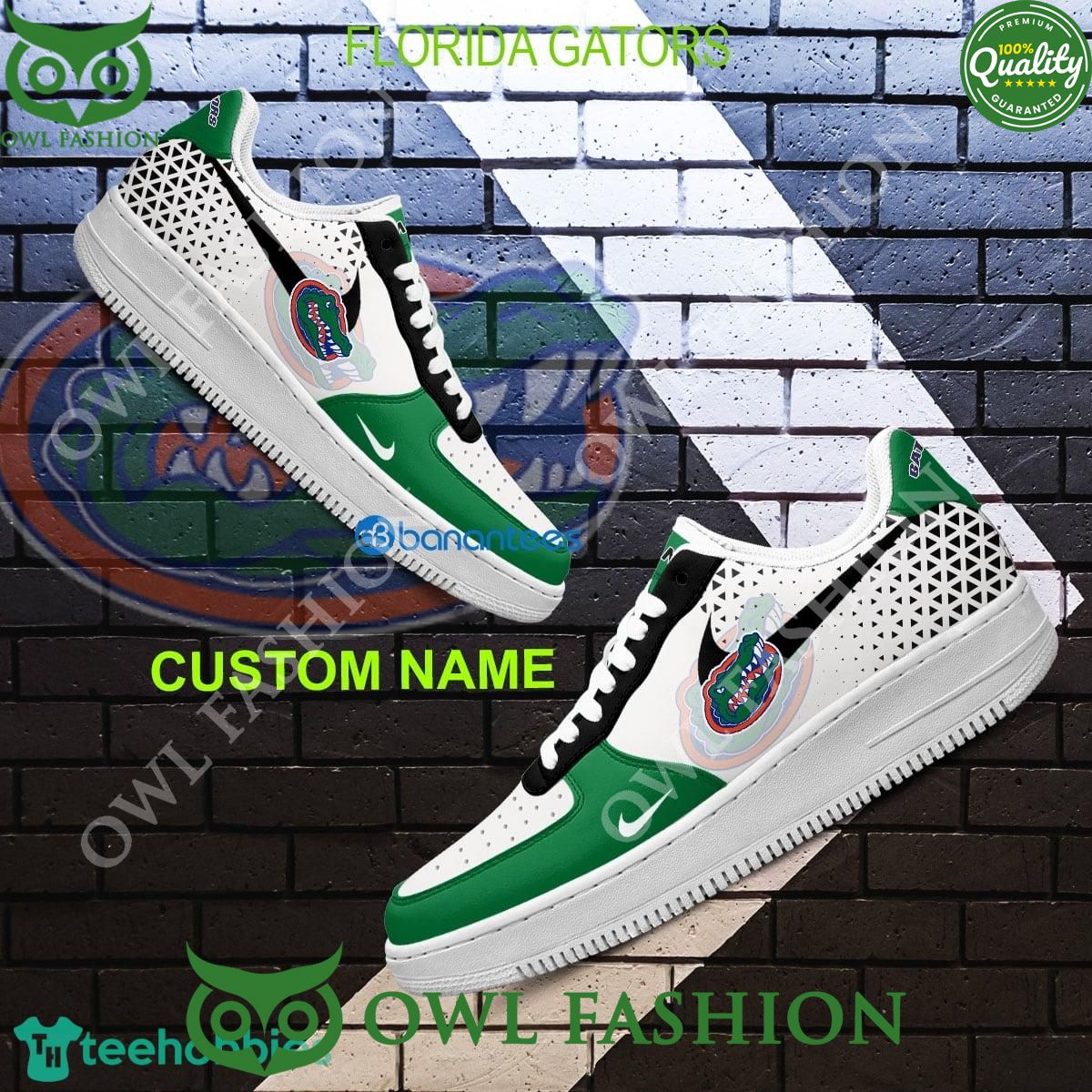 Custom Name Florida Gators NCAA Air Force 1 Shoes AOP - Adult & Kids T-Shirts, Sweatshirts & Hoodies apparel design preview 1